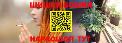 тгк Новозыбков