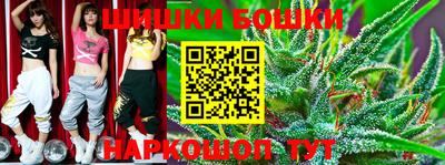 тгк Новозыбков