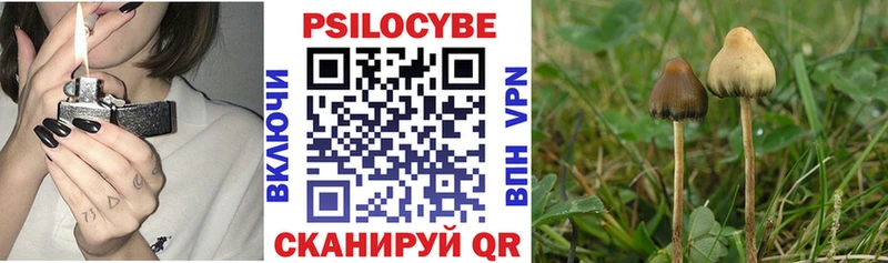 это клад  Холмск  Галлюциногенные грибы Psilocybine cubensis 