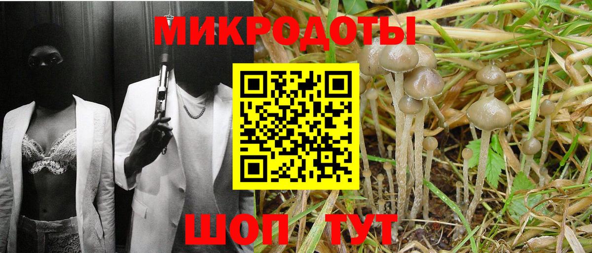 Псилоцибиновые грибы Psilocybine cubensis Холмск